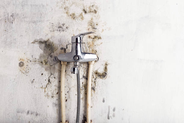 Best Commercial Mold Remediation in Moore, OK