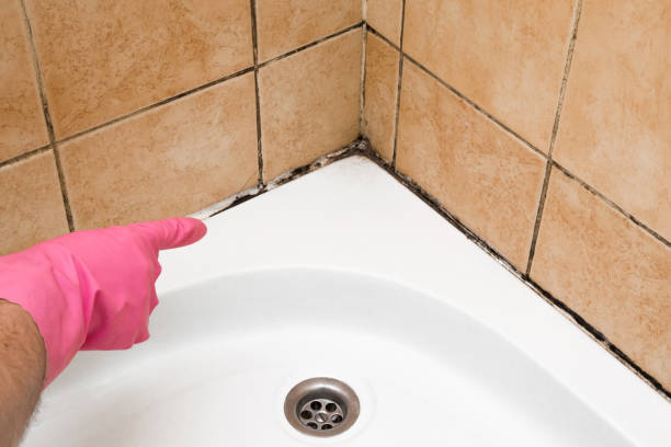 Best Residential Mold Remediation in Moore, OK